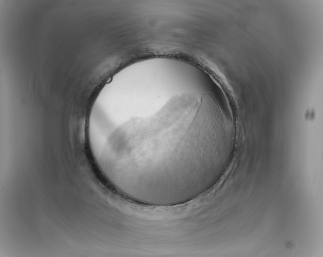 X0000094450019200711291709