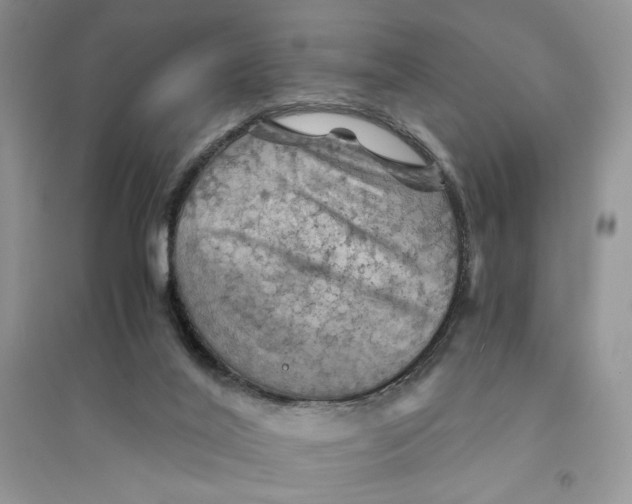 X0000094450020200711291709