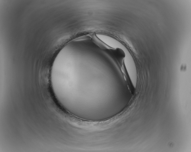 X0000094450023200711291709