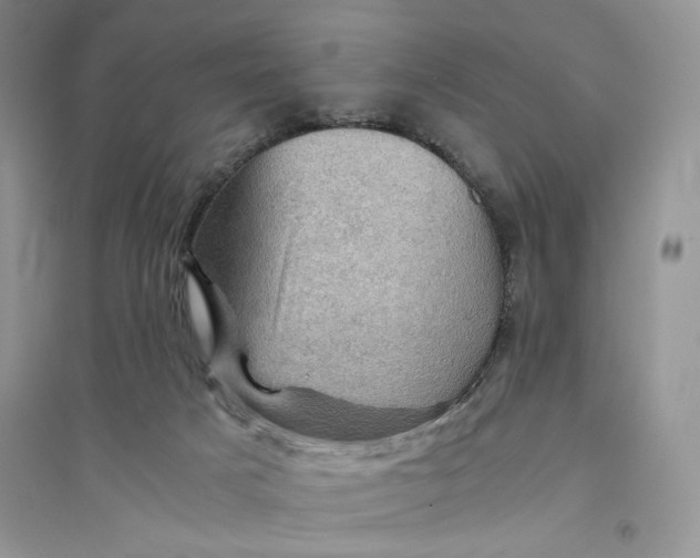 X0000094450025200711291709