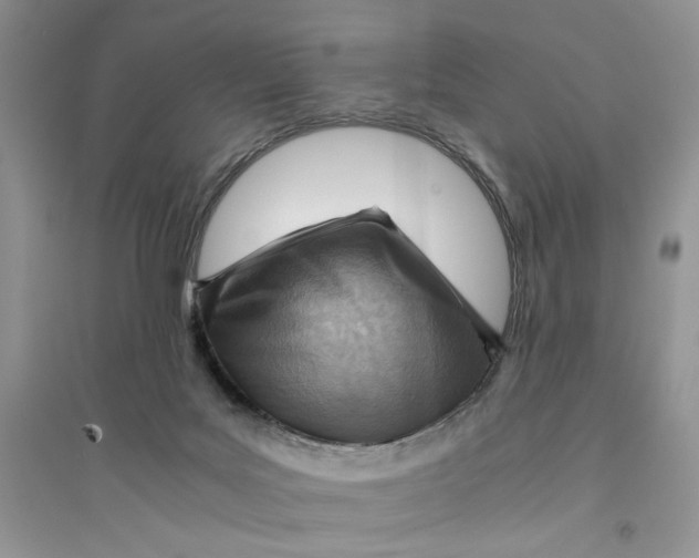 X0000094450027200711291709