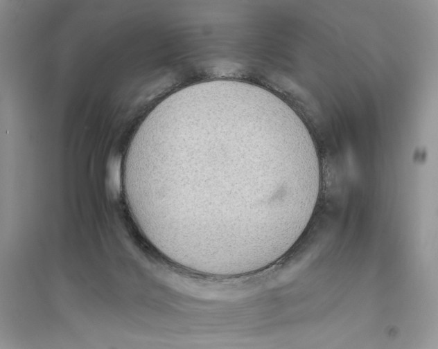 X0000094450028200711291709