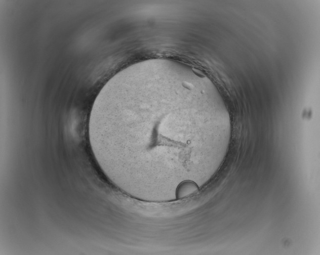 X0000094450030200711291709