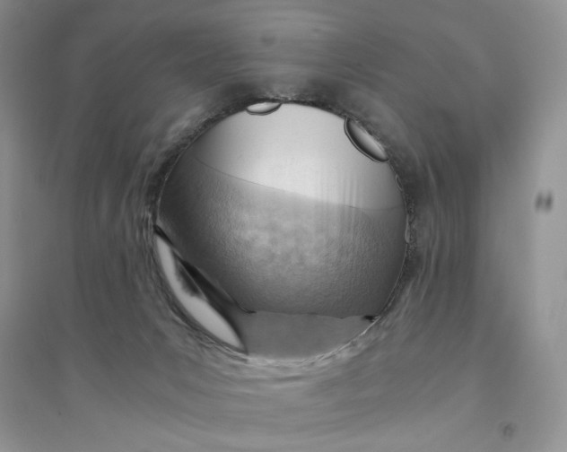 X0000094450031200711291709