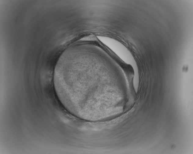 X0000094450033200711291709