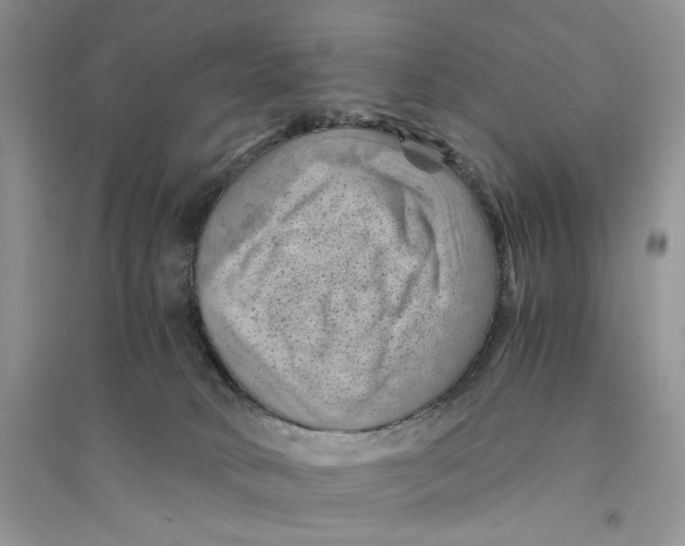 X0000094450034200711291709