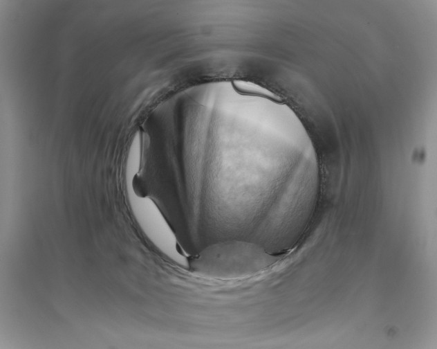 X0000094450035200711291709