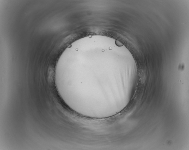 X0000094450036200711291709