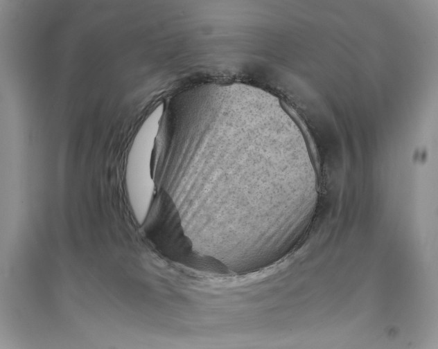 X0000094450037200711291709