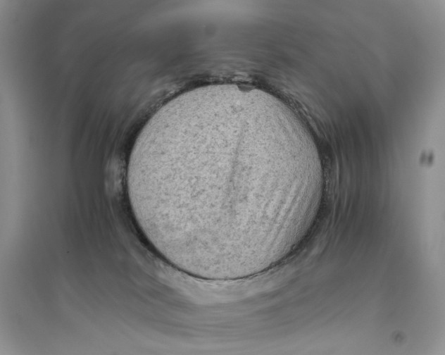 X0000094450038200711291709