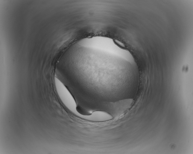 X0000094450039200711291709