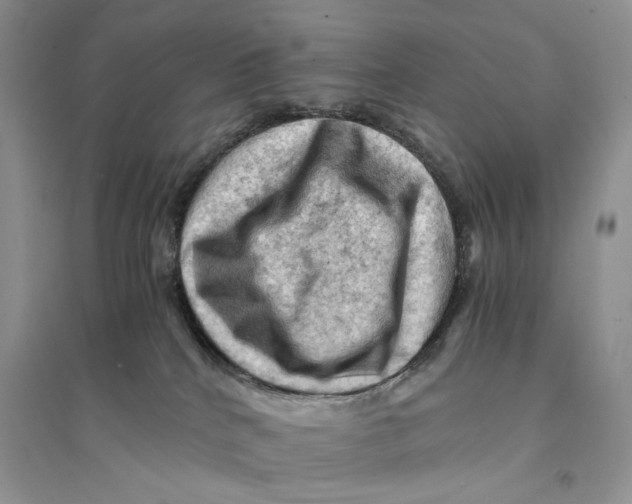 X0000094450040200711291709