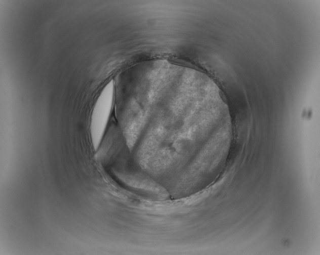 X0000094450041200711291709