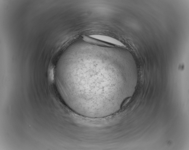 X0000094450042200711291709