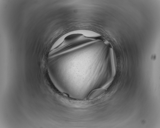 X0000094450044200711291709