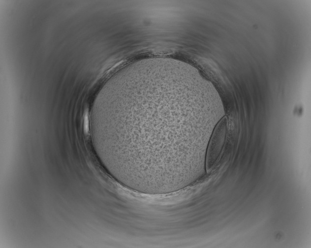 X0000094450046200711291709