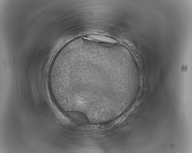 X0000094450049200711291708