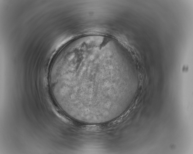 X0000094450050200711291708