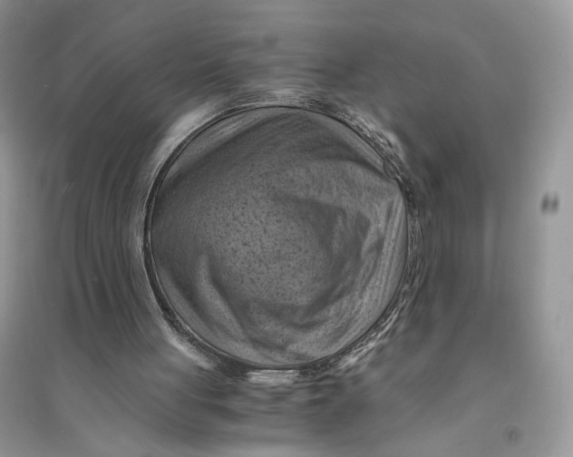 X0000094450051200711291708