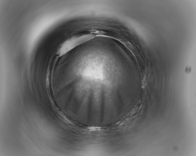 X0000094450052200711291708