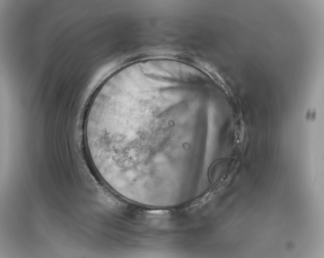 X0000094450053200711291708