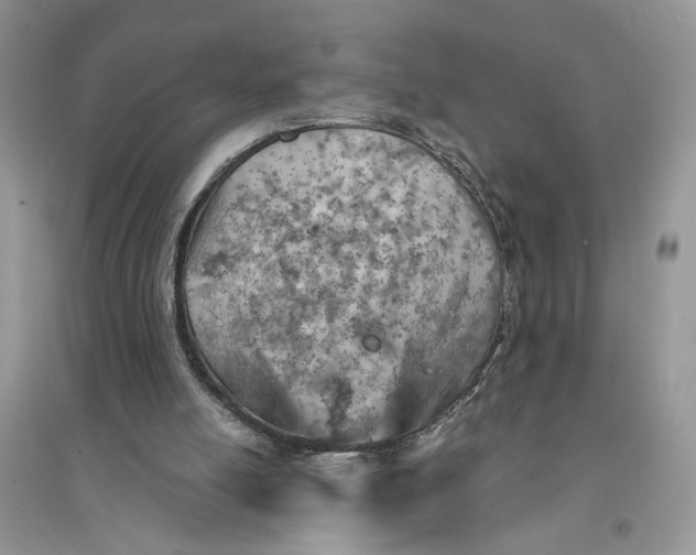 X0000094450054200711291708