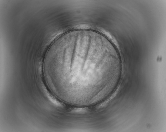 X0000094450057200711291708