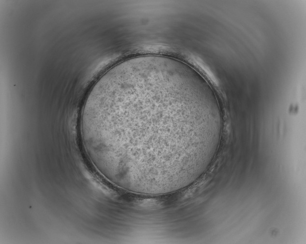 X0000094450058200711291708