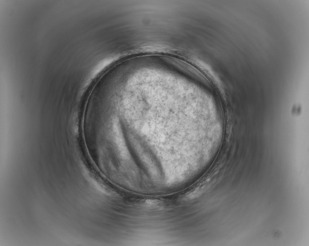 X0000094450060200711291708