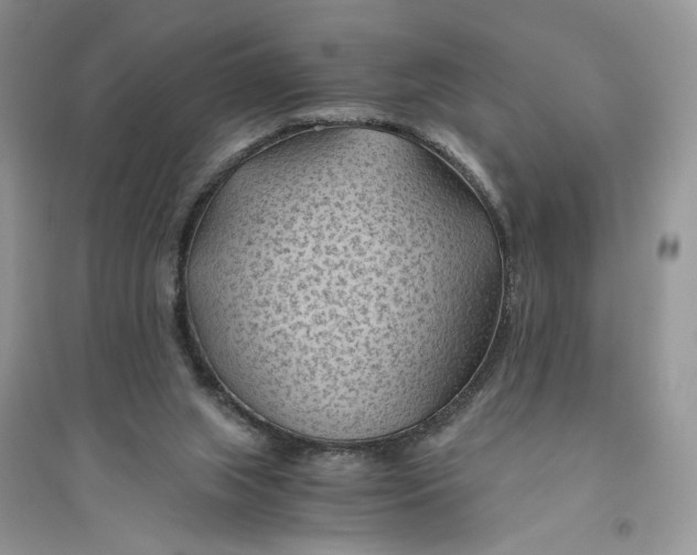 X0000094450063200711291709