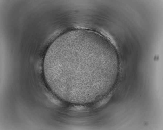 X0000094450065200711291709