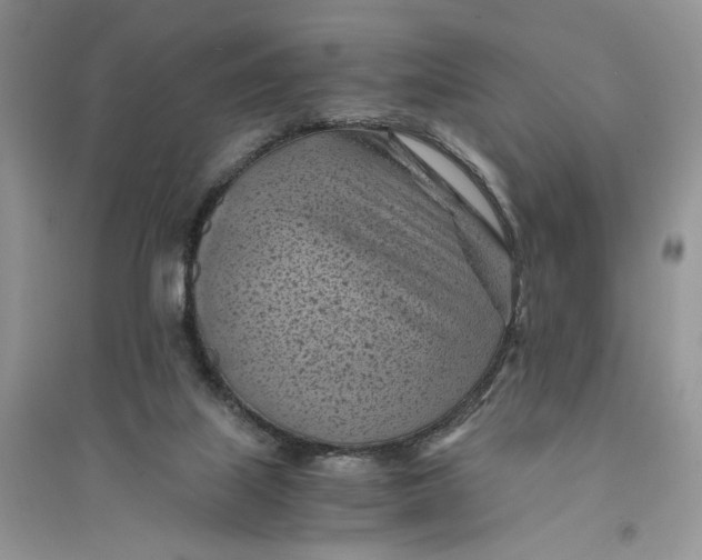 X0000094450067200711291709