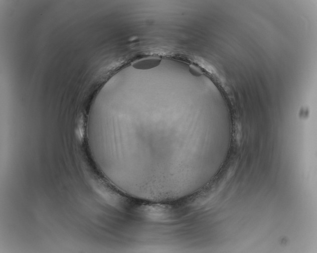 X0000094450069200711291709