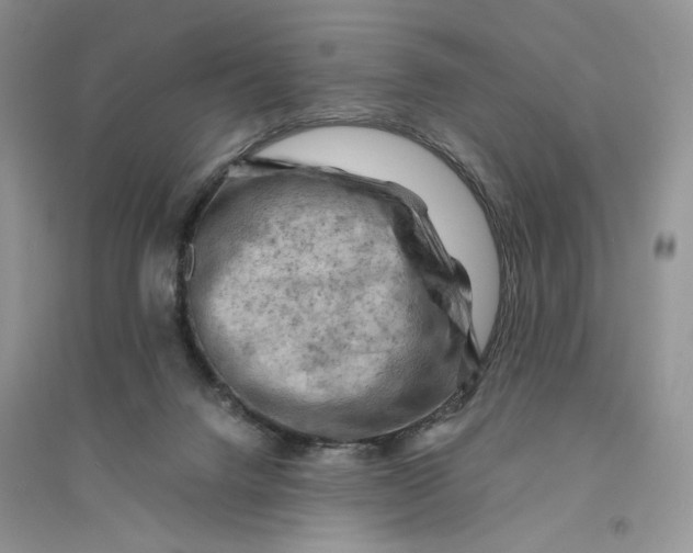 X0000094450072200711291709