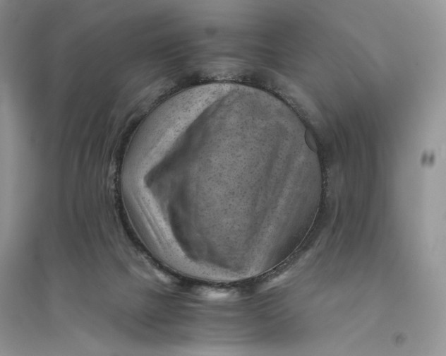 X0000094450073200711291709