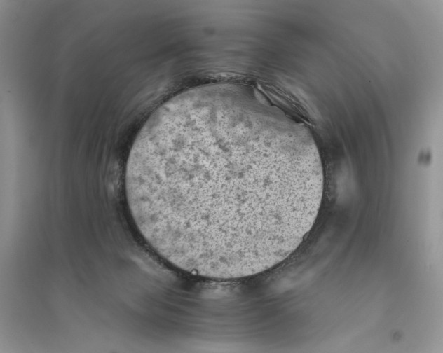 X0000094450077200711291709