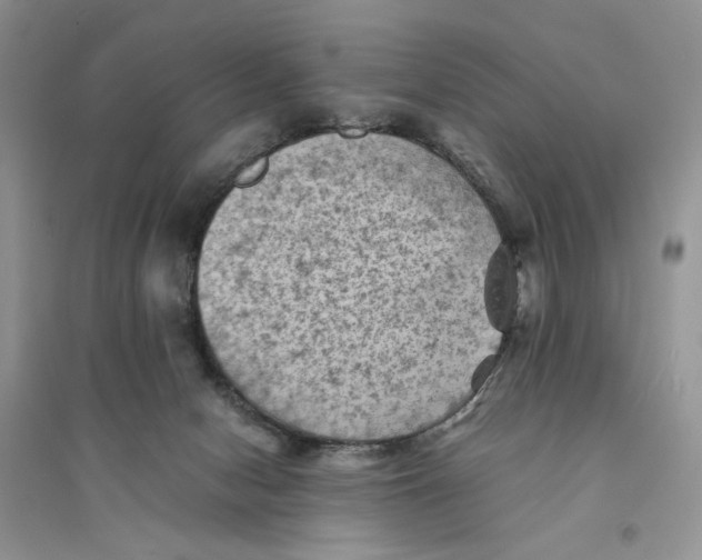 X0000094450078200711291709