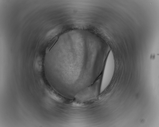 X0000094450080200711291709