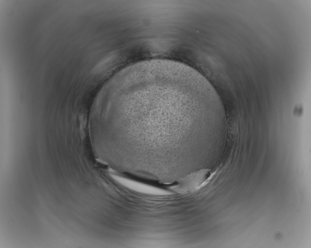 X0000094450082200711291709