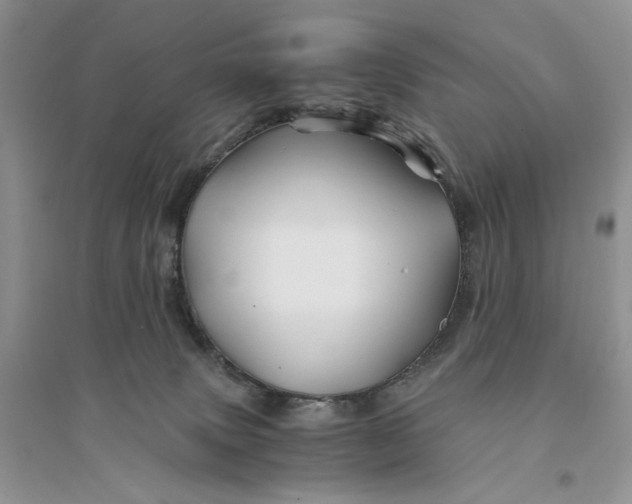 X0000094450083200711291709