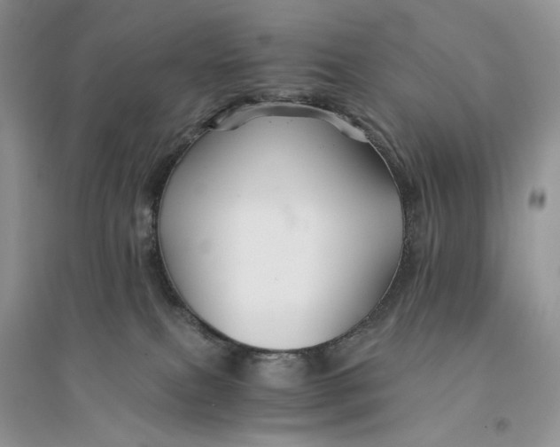 X0000094450087200711291709