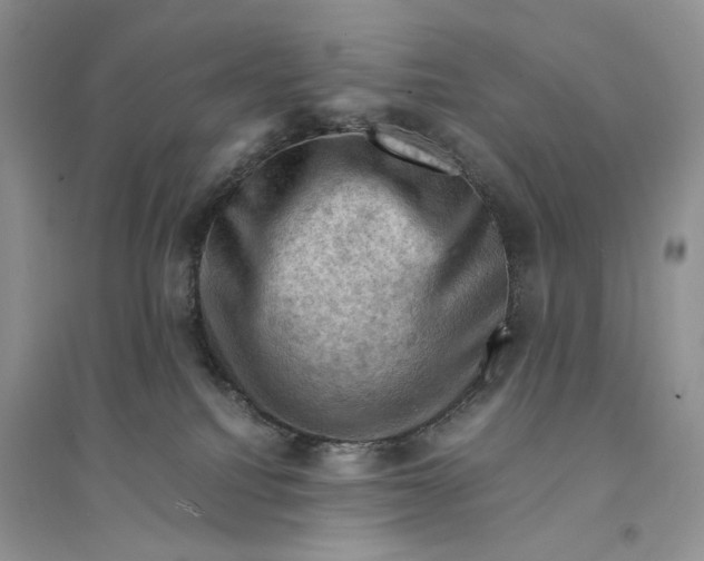 X0000094450088200711291709