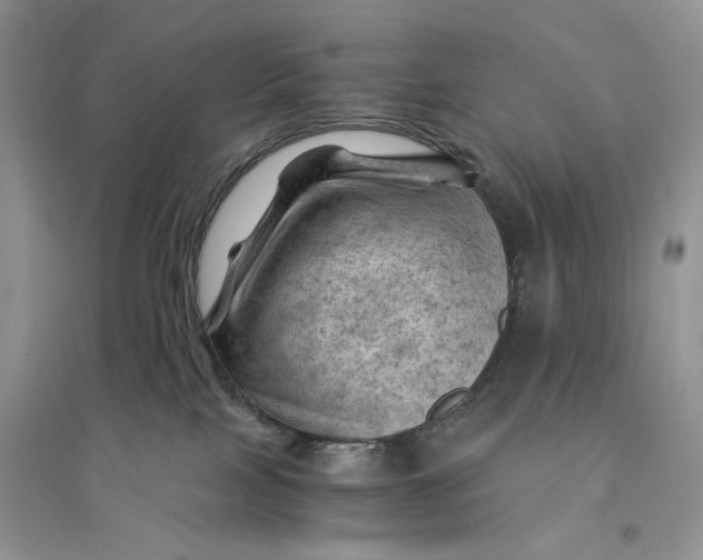 X0000094450089200711291709