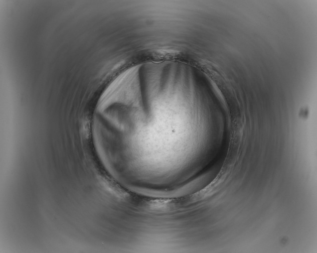 X0000094450090200711291709