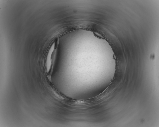 X0000094450091200711291709