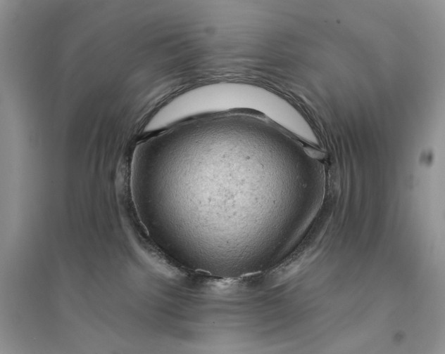 X0000094450092200711291709