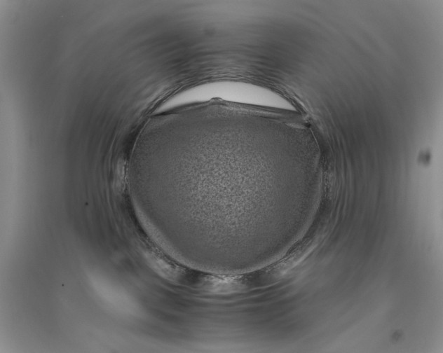 X0000094450093200711291709