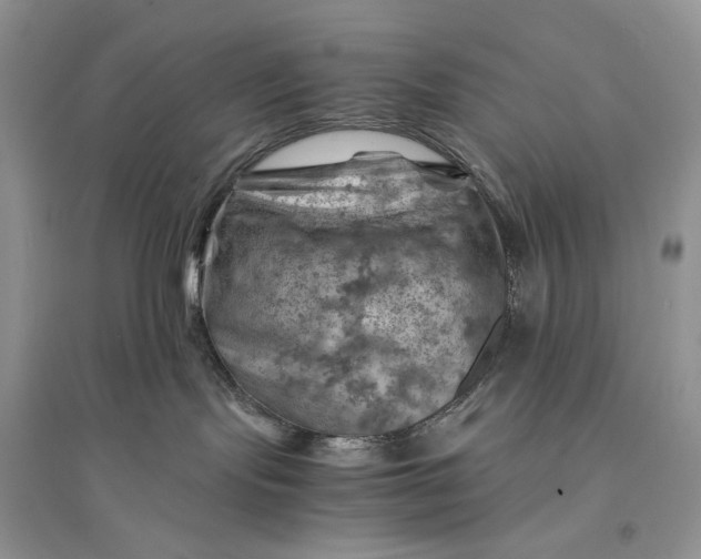 X0000094450095200711291709