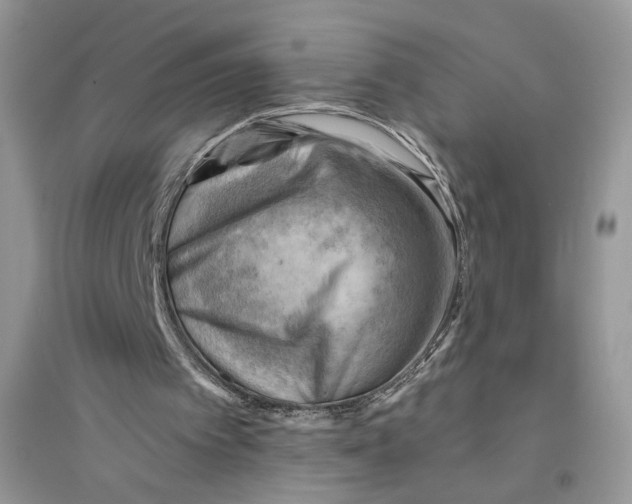 X0000094450097200711291708