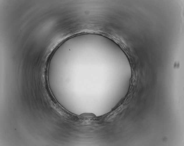 X0000094450098200711291708